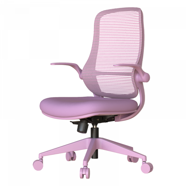 Лилва ергономичен стол.